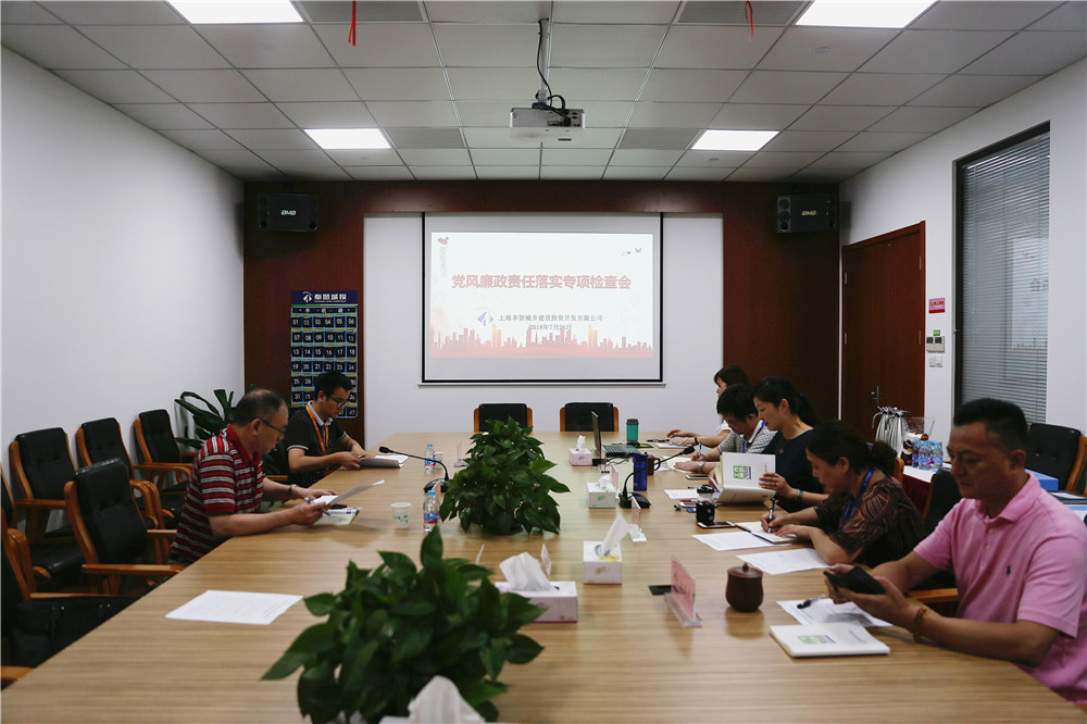 0726城投公司黨風(fēng)廉政專項檢查1