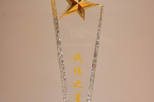 喜報！城投公司被評為 2023年度奉賢區(qū)“誠信之星”企業(yè)