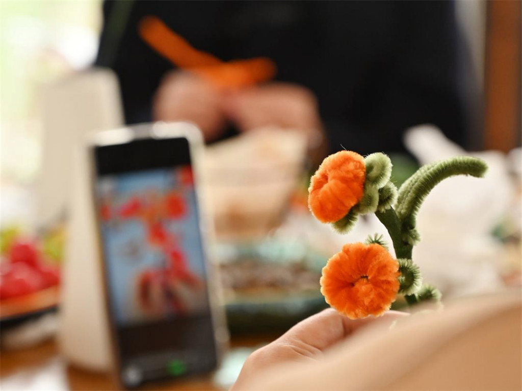 DSC_3837_副本_副本1